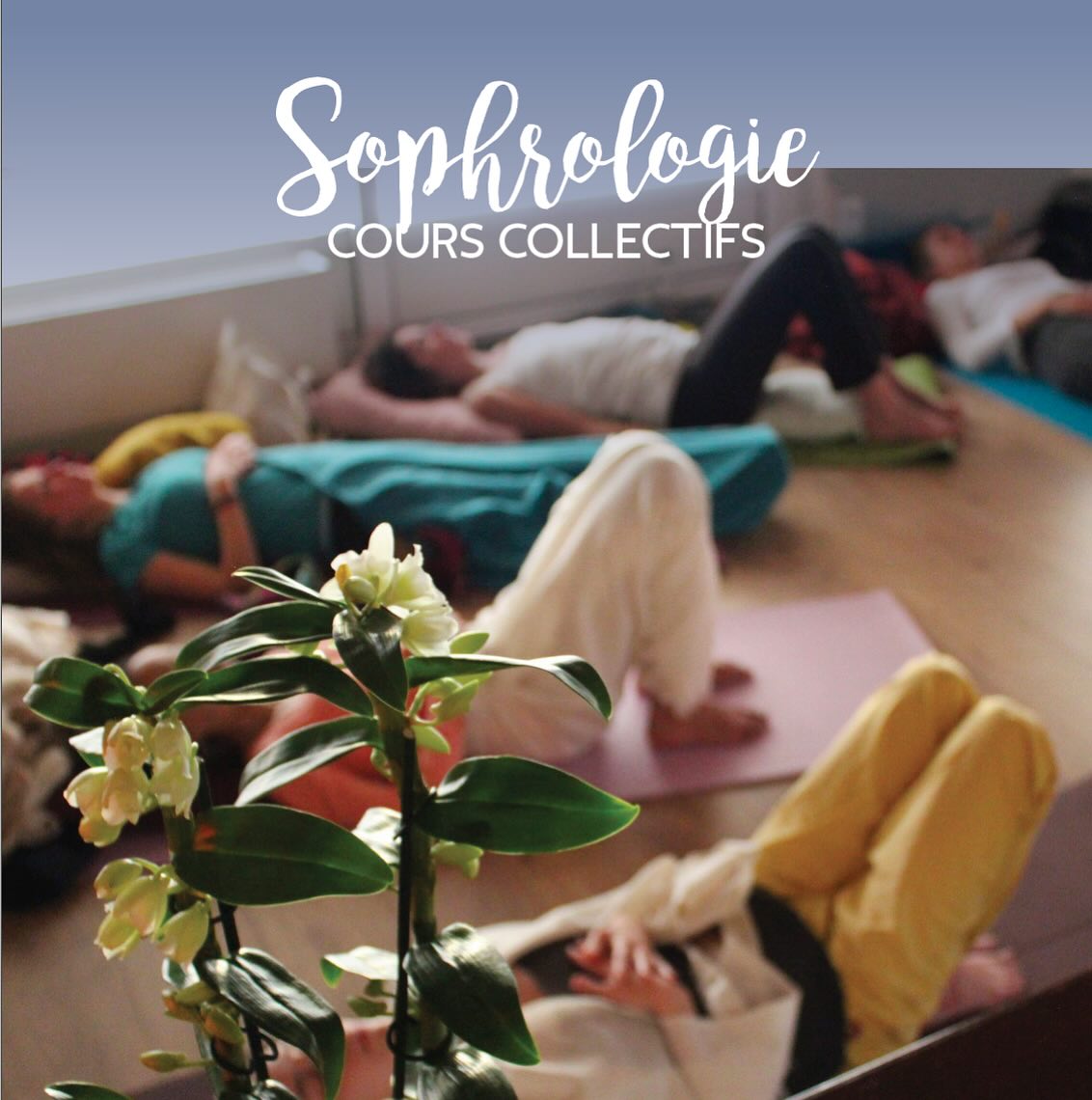 Et bien sur, les cours collectifs de sophrologie reprennent à Lusine à Marcillac le lundi 23 septembre 😊
« La respiration est le pont qui relie la vie à la conscience, qui unit ton corps à tes pensées. » Thich Nhât Hanh
Ces séances accompagnent à :
• Être à l’écoute de ses sensations corporelles
• Respirer en pleine conscience et libérer les tensions
• Apprendre à gérer son stress, ses émotions, ses peurs
• Revenir à un centrage intérieur, à son coeur, à ses besoins profonds
• Contacter ses ressources et ses capacités propres
• Améliorer la confiance en soi
📍Où :
Un lundi sur deux
à Marcillac Vallon - à la salle Beausoleil de Lusine de 18h à 19h
Le premier cours d’essai est gratuit alors n’hésite plus 😊
📷 @sophiefages
#sophrologie
#relaxation #meditation
#gestiondustress
#confianceensoi