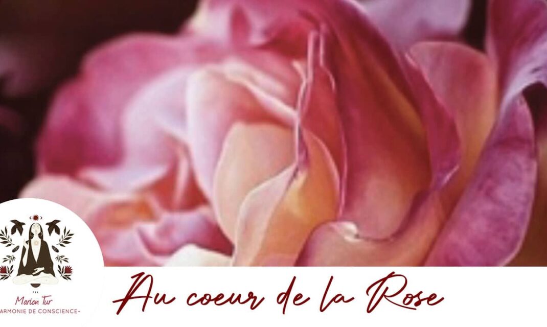 Photo symbolisant l'atelier intitulé 'Au cœur de la rose' animé par Marion Tur, thérapeute en harmonie de conscience à Rodez