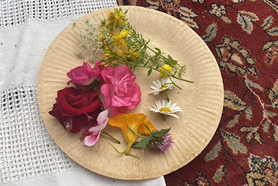 medecinecacao-photomosaique-3